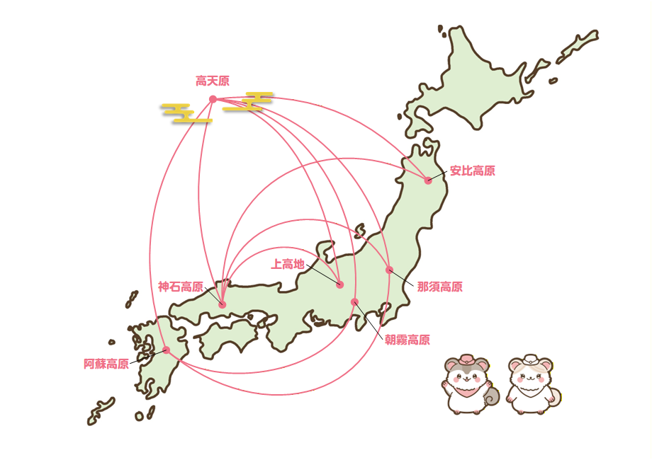 ももんがしゃ航空 国内線路線図